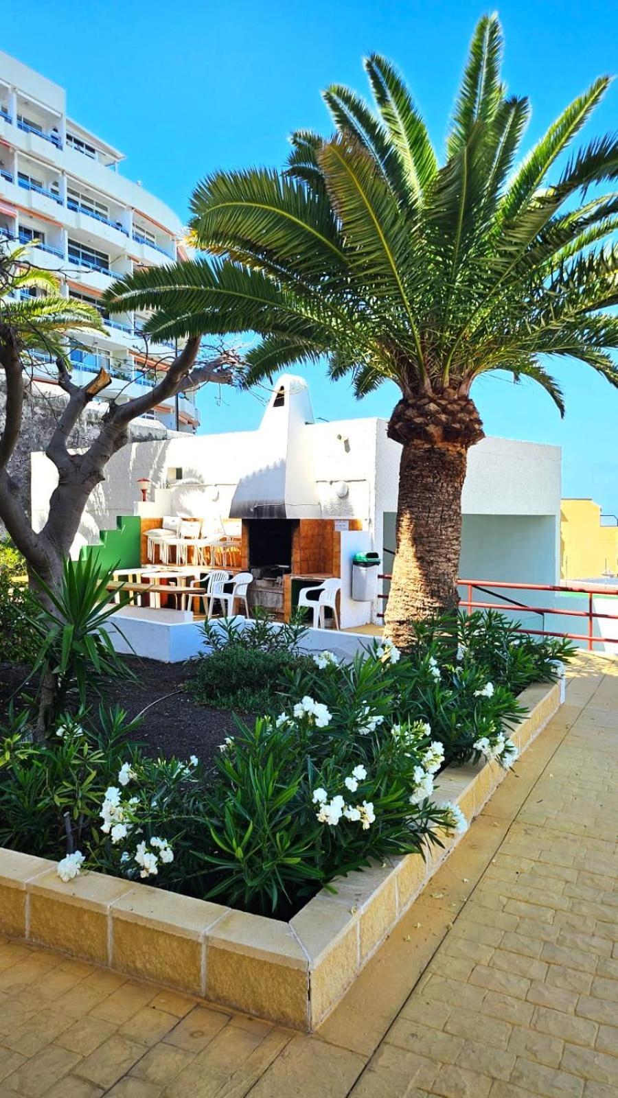 Апартаменты Playa De La Arena Puerto de Santiago  Buitenkant foto